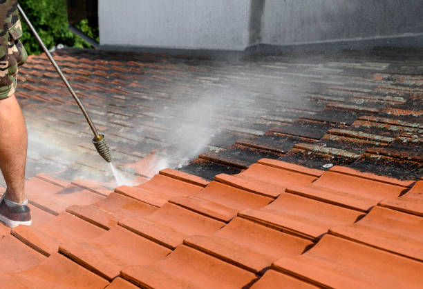Best Pressure Washing Company Near Me  in Lake Camelot, WI